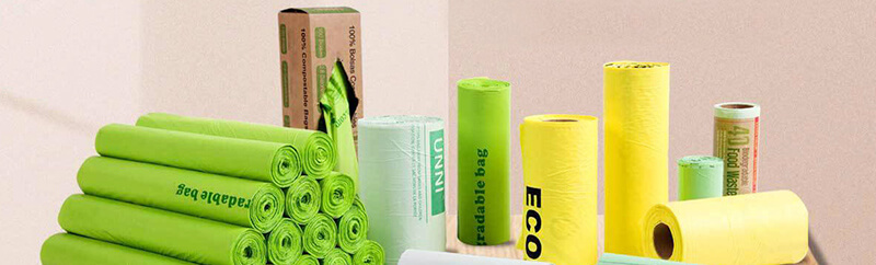 জৈববিয়োজ্য ব্যাগ